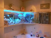 Фото 1 - Панорама - Оформление ванной комнаты.
<A href=http://aquastudio.kharkov.ua